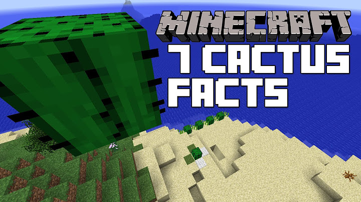 Top things you dont know about cactus in minecraft năm 2024