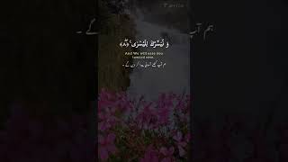 Surah Al-Aala| verses:7-10| beautiful Quran recitation| #shorts #shortsvideo