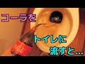 汚れたトイレにコーラを流して放置すると凄いことに、、、