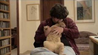 Chicken Shack -I'd Rather Go Blind .wmv