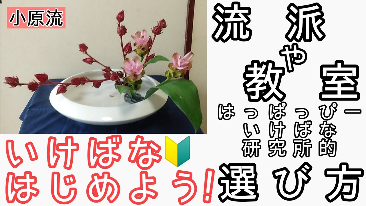 いけばな　教室や流派の選び方　始めよういけばなレッスン！動画は　小原流　色彩盛花色彩本位　観水型　紅アオイ　クルクマ