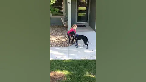 Dog Dancing