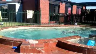 Ruby 'diving' 7/1/11