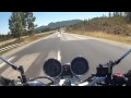 Suzuki Bandit 600 | Cars When they See a Motorcycle