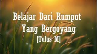 Belajar Dari Rumput Yang Bergoyang Lyrics - Tulus M