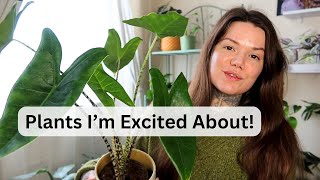 10 Houseplants In My Collection I'm Excited About In 2024!