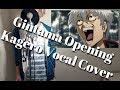 カゲロウ/ЯeaL 男性原キー 歌詞付き-cover 銀魂OP 歌ってみた
