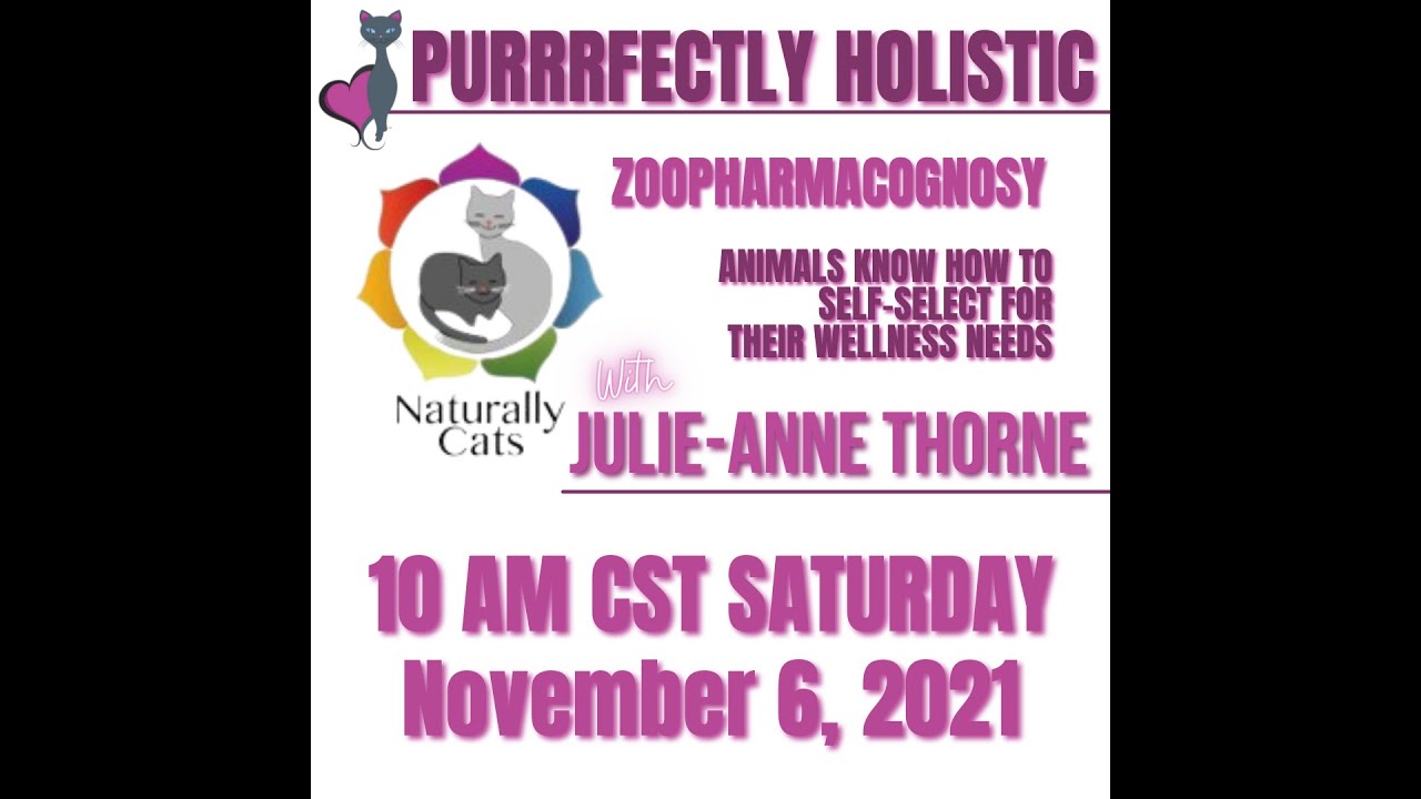 Holistic Cat Health Zoopharmacognosy Live w/ Naturally Cats