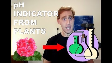 Make pH Indicators from Plants