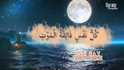 تلاوة رائعة للقارئ انس الشهاب حالات واتس اب قرآن كريم part1 7