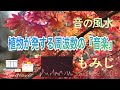 【金運・成長・豊かな恵み・喉のﾁｬｸﾗ・免疫・528 Hz】箱根の紅葉の美しさに見惚れる『もみじ』による演奏「音の風水」♪（Part 40）