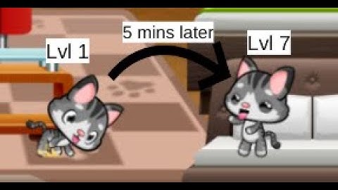 I attempted a Meow Playground Speedrun!