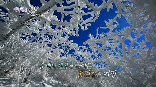 160228 영상앨범산 예고 ㅣ KBS방송
