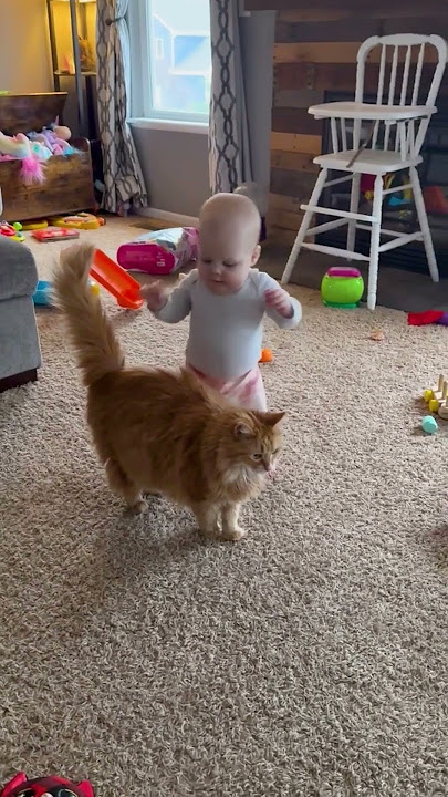 Adorable Fluffy Cat Helps Baby Take First Steps!!