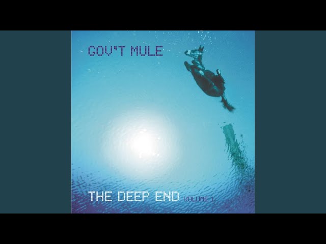 Gov't Mule - Banks Of The Deep End