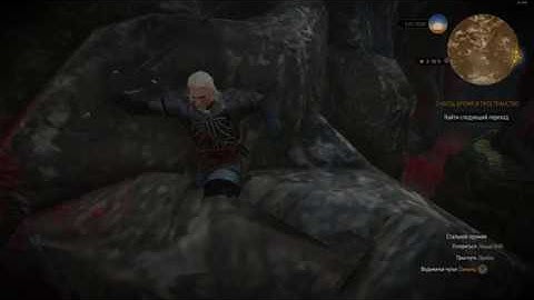 The Witcher:Wild Hunt. Get Stuck on Textures