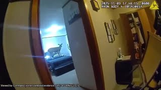 Watertown police respond to reported break in