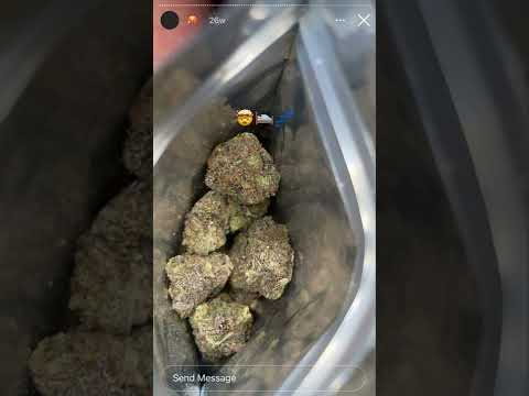 大麻weed420《42》 YouTube