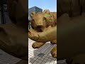 Adobe Aero 3Dスキャンくま in ビッグサイト 20230628