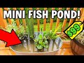 EASY DIY MINI DECK OR PATIO POND SETUP AND TUTORIAL