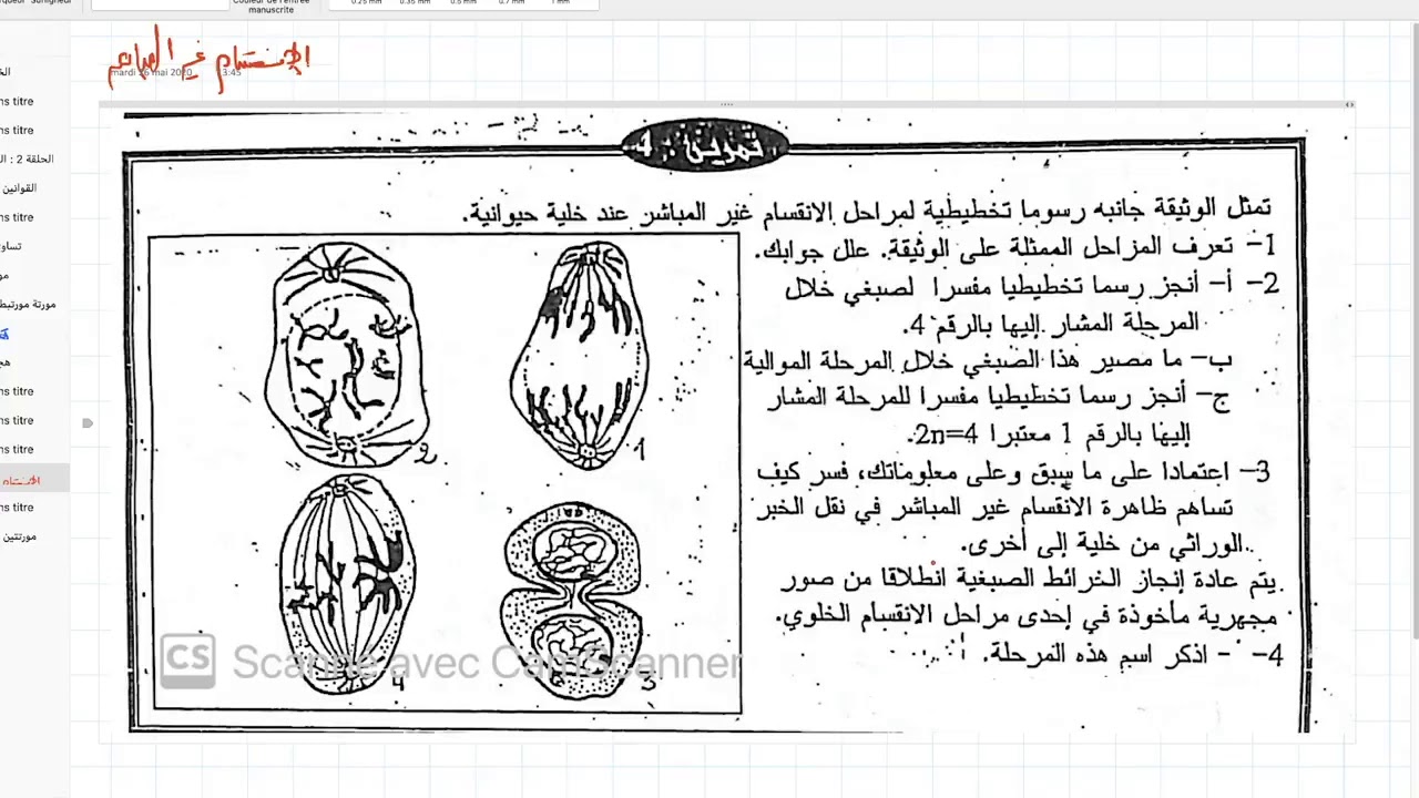 تصحيح تمرين خبر الوراتي بشكل مبسط