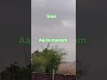 #goan#mausam#shorts#vlog🌾🌳🌲#nature
