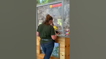 Rockhounding in Herkimer New York for Herkimer Diamonds