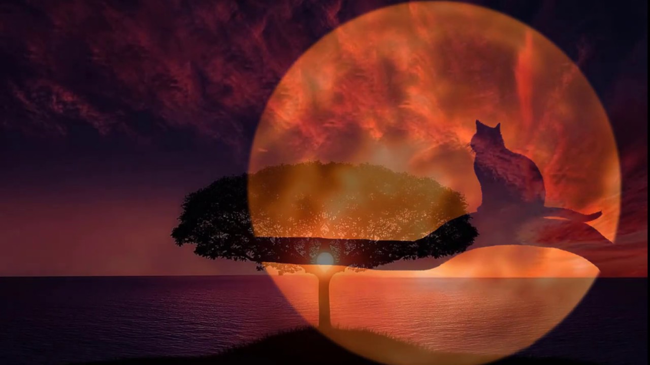 Tranquilidad - YouTube