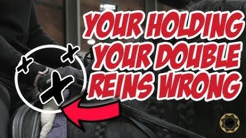 CORRECT WAY TO HOLD DOUBLE REINS - Dressage Mastery TV Episode 300