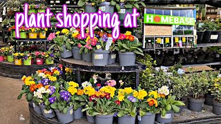 Plant Shopping at Homebase Streatham London