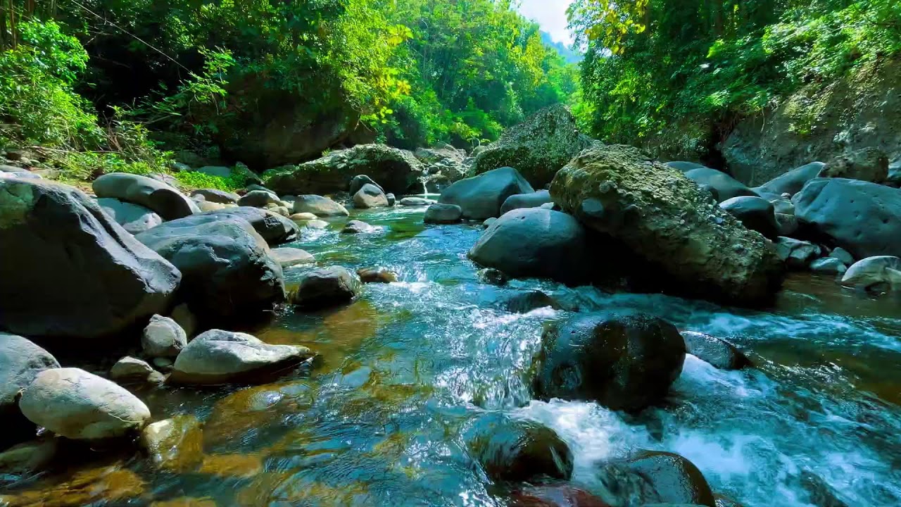 Deep Relaxation River Sounds – 10 Hours for Anxiety & Stress Recovery Stress & Tension Release