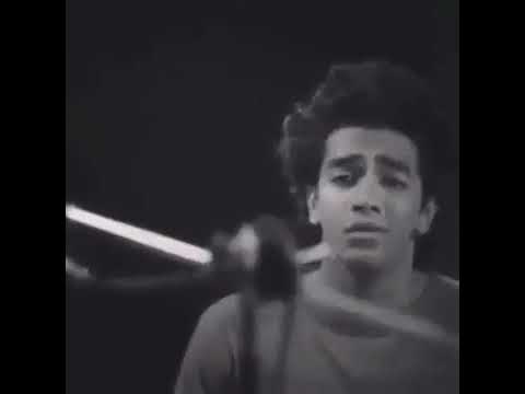 سبتك تعيش بعد