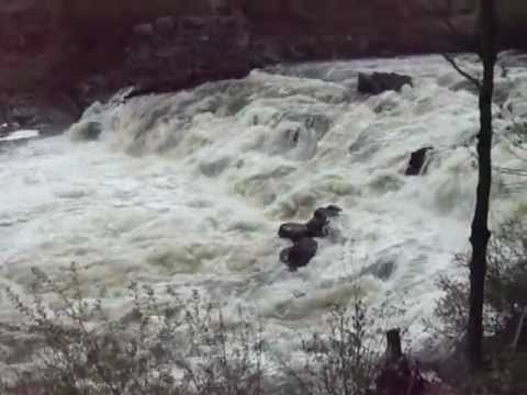 see-the-danger-of-student-challenging-kayaking-skills