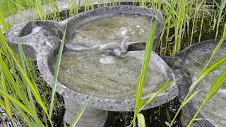 Flowform® figure8 Emerson infinity flow waterscape - Creating peace & harmony for all creatures