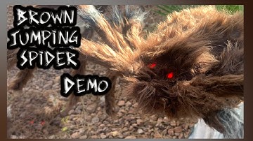 Spirit Halloween 2022 brown jumping spider DEMO