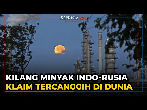 Video: Apakah kerja organisasi alam sekitar di Rusia