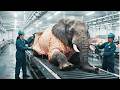 Inside Elephant Leather Jacket Factory – Full Step-by-Step Process