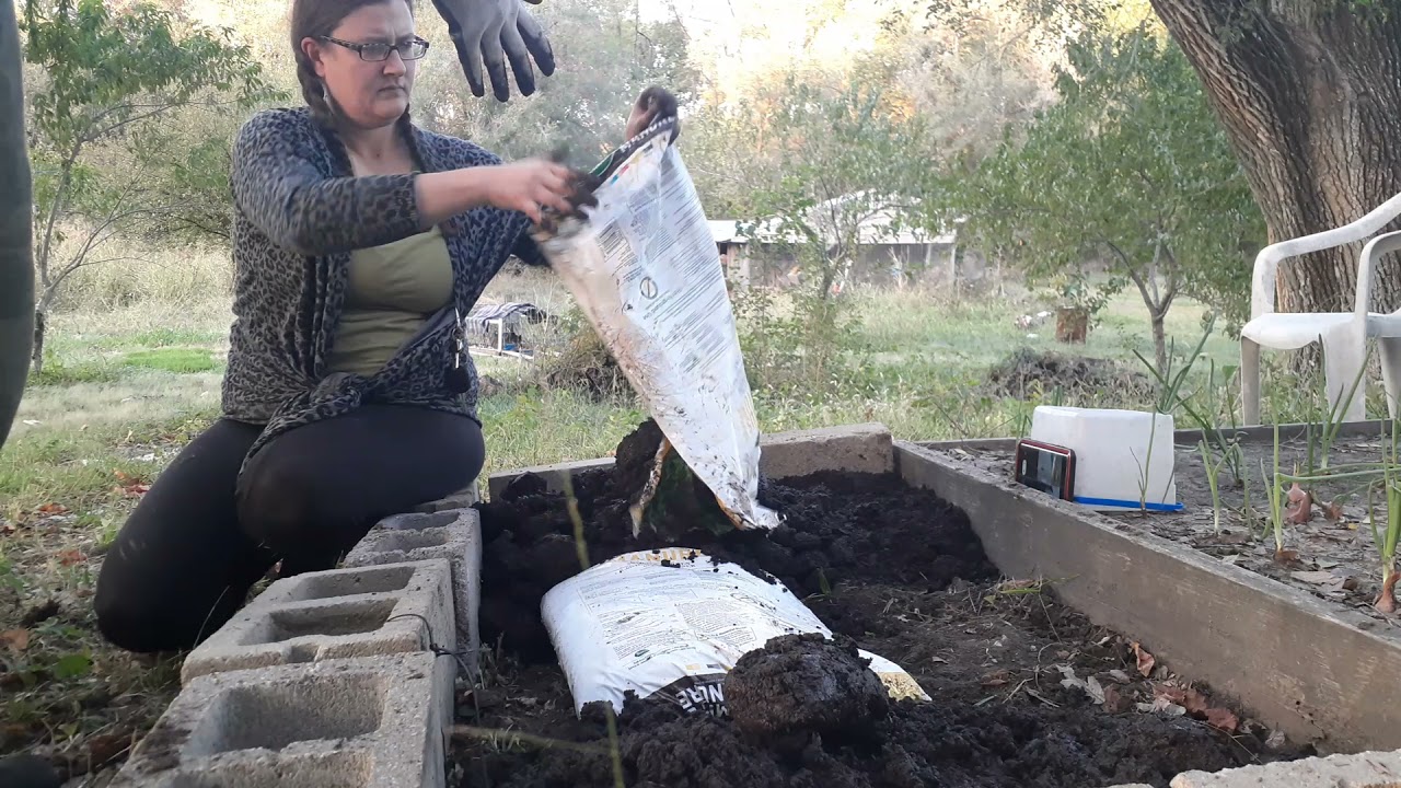 PREPAIRED AND PLANTED GARLIC. HOPE IT GROWS.