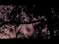 Hammock - Flannery (Andalusia Reinterpretation)
