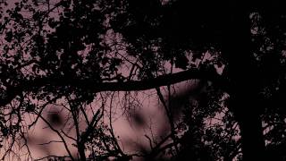 YouTube video MiLDdDW31ic