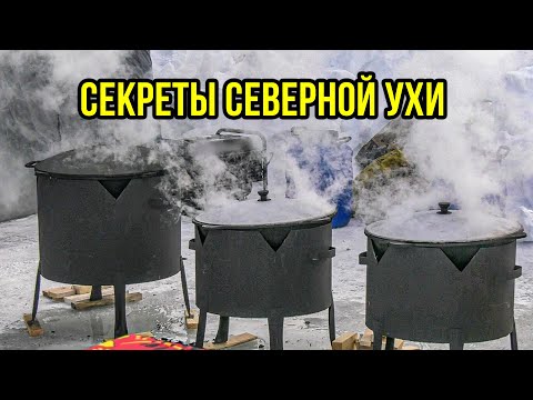 Видео: Ямар ургамал суулгалтыг зогсоодог вэ?