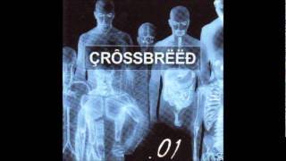 Watch Crossbreed Lost Soul video