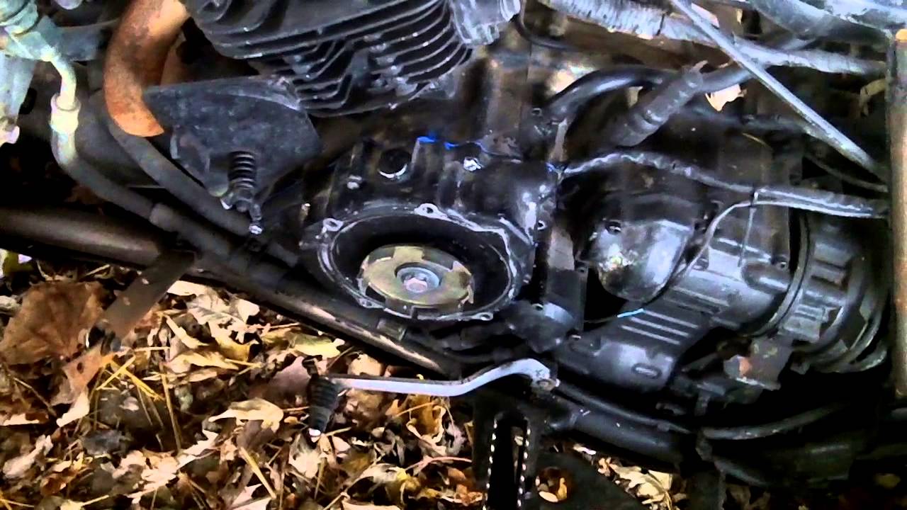 BIG BEAR UPDATE 2.MP4 YouTube