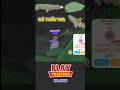 Săn lại full Cá Thây Ma dưới cống #playtogether #playtogethervng #ptgcreator #ptg0525