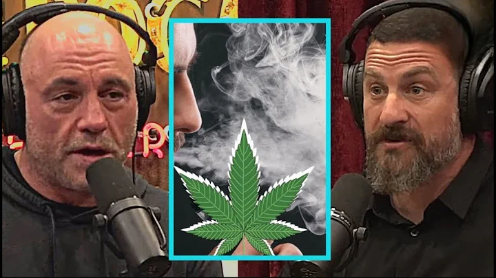 O impacto da maconha em pessoas disciplinadas - Joe Rogan