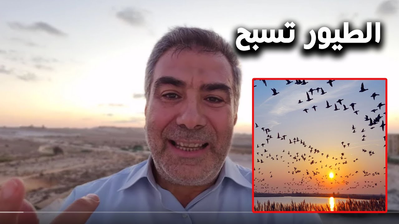 الطيور تسبح الله - وإن من شيء إلا يسبح بحمده | عبد الدائم الكحيل