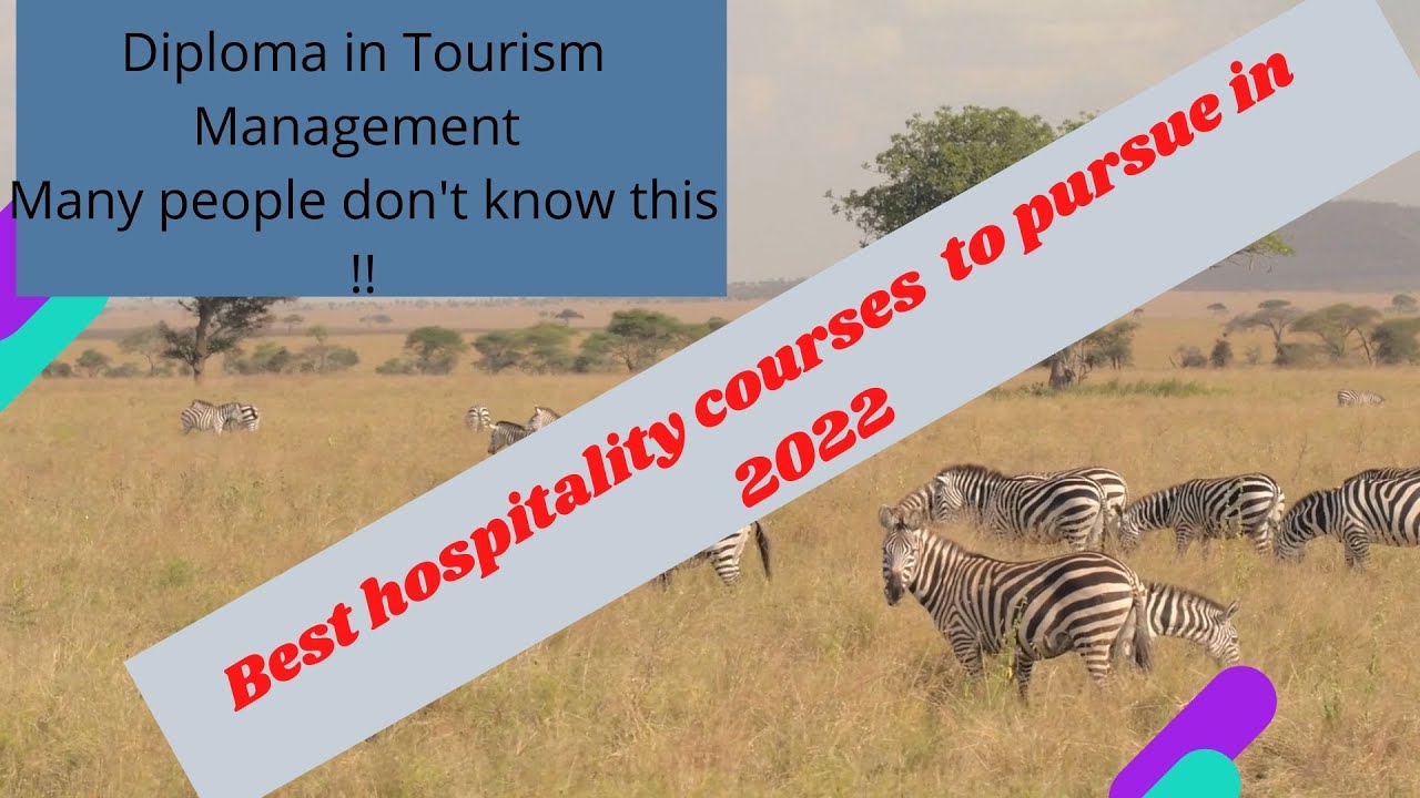 Диплом по туризму и менеджменту. Что нужно знать!