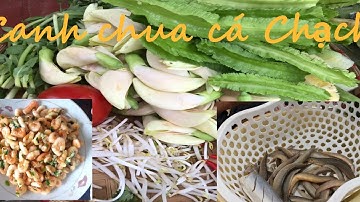 Cá Trạch nấu canh chua l Thắng Hay Đi
