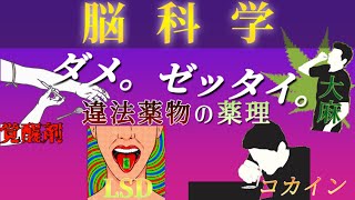 【脳科学】違法薬物の薬理