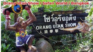 Orang Utan show l Safari World l Bangkok l Thailand